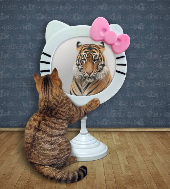 istock Cat sits near funny round mirror 2 1319998266
