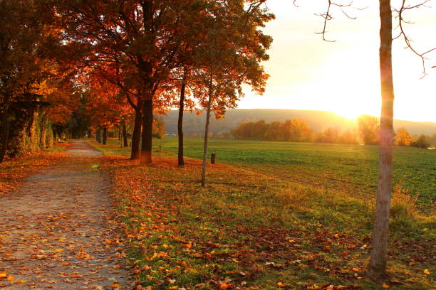 istock Bavarian summer landscape in dreamlike sunshine 1320002057