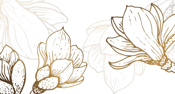bildbanksillustrationer, clip art samt tecknat material och ikoner med lyxig tapetdesign med gyllene magnolia och naturlig bakgrund. magnolia linje konst design för väggkonst, tyg, tryck och bakgrundsstruktur, vektor illustration. - magnolia