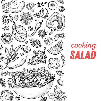Healthy food illustration. Hand drawn sketch. Cooking salad. Vegan food. Vitamins and minerals for immunity. Engraved style. Black and white