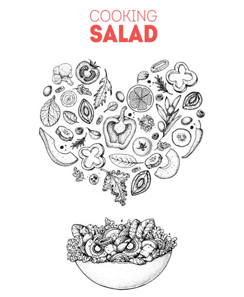 illustrations, cliparts, dessins animés et icônes de croquis de salade. concept de salade de coeur. illustration de nourriture. conception de salade de cuisson. éléments du menu alimentaire. dessiné à la main. illustration vectorielle sur le fond blanc. aliments sains et biologiques. menu végétalien. - saladier