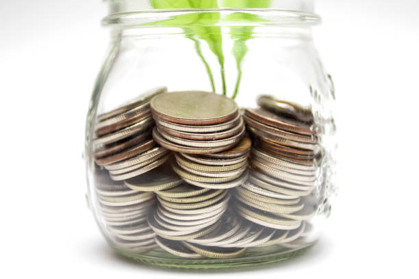 istock Saving concept plant growing from glass jar. Saving and Investment concept 1320003814