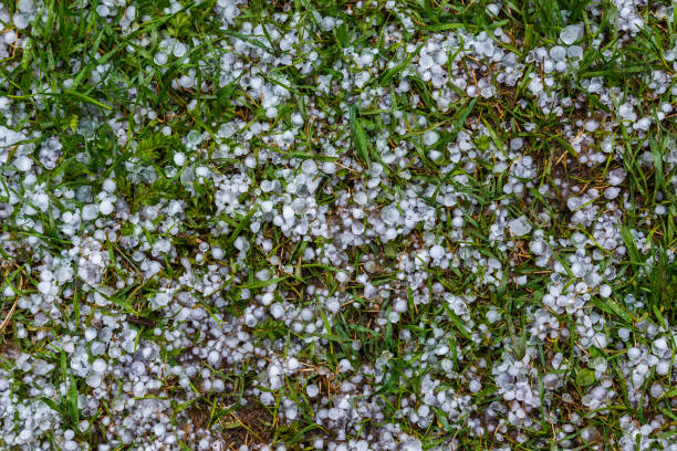 istock White ice hail on the green grass after summer storm 1320005081