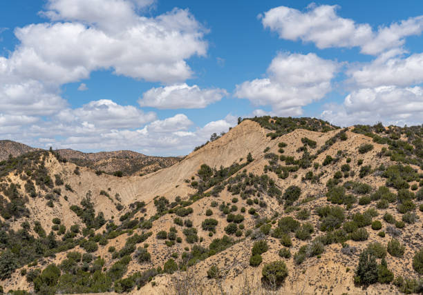 istock Typical mountains in Los Padres National Forest east side, CA, USA. 1320006279
