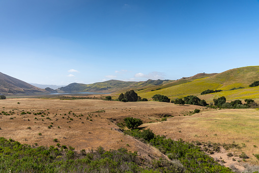 Santa Maria, CA, USA - May 21, 2021: Brown dried ranch land and green yellowish hills with dark green trees sprinkled around under blue sky. Twitchell Reservoir on horizon .