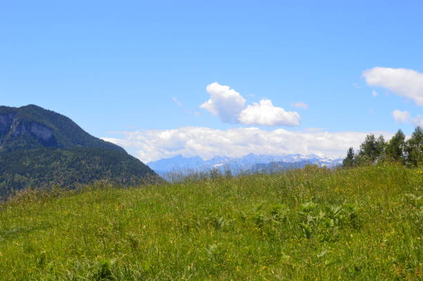 istock Beautiful landscape in Southtyrol 1320006639