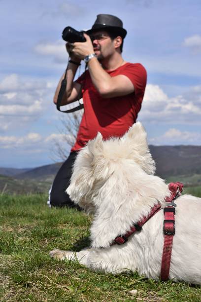 istock a white dog is resting after a walk and a man is taking pictures 1320006728