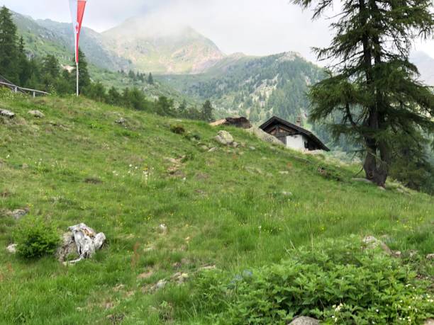 istock Beautiful landscape in Southtyrol 1320006854