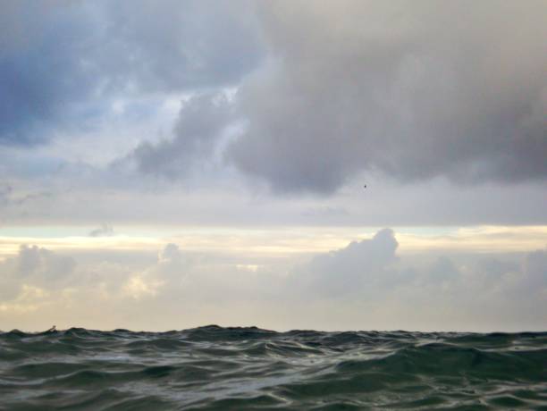 istock Swimming on sea level 1320007081