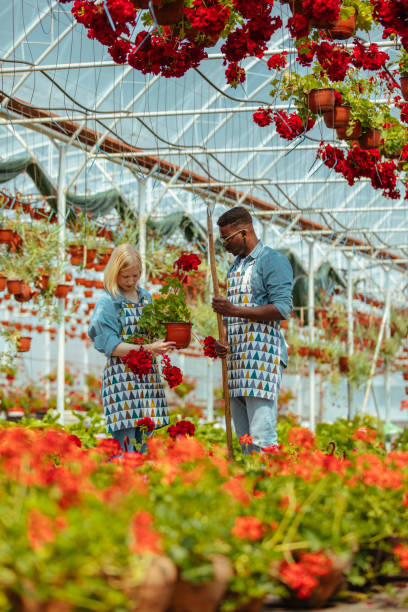 istock Gardeners working in a greenhouse 1320009718