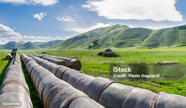 Italy In Castelluccio Di Norcia Stock Photo - Download Image Now - Agriculture, Arts Culture and Entertainment, Bale
