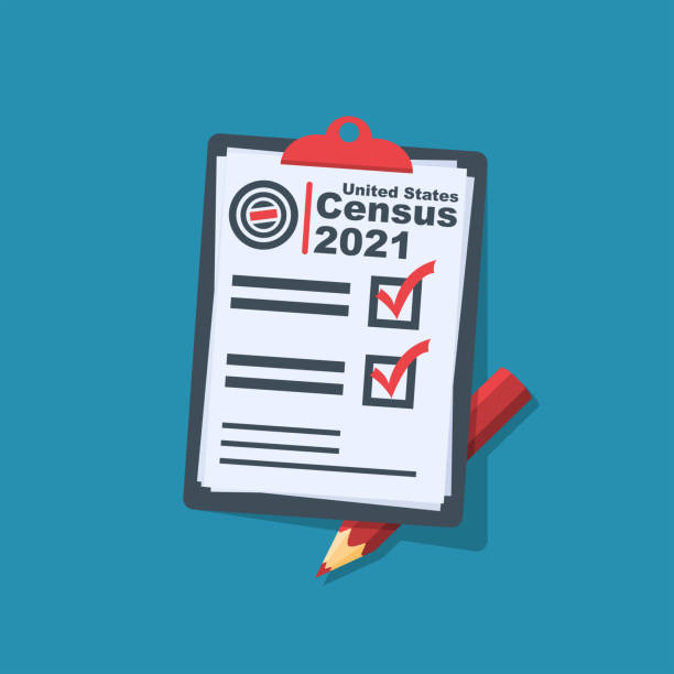 The process of collecting and analyzing population demographic data. Census 2021. The process of collecting and analyzing population demographic data. Folder with documents and pencil. Vector illustration flat design. Isolated on background. census stock illustrations