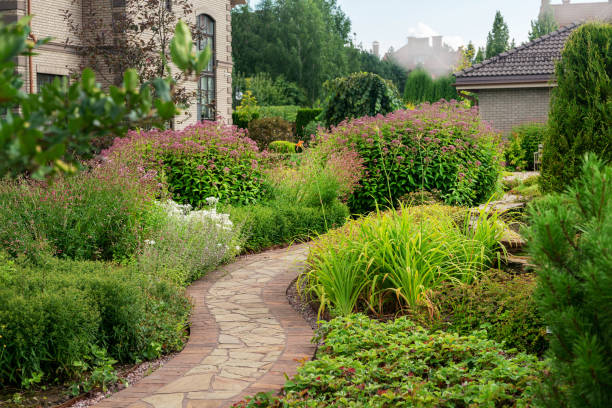 istock rudbeckia hairy  and elm tree behind it  and stone footpath - idyllic summer 1320011720