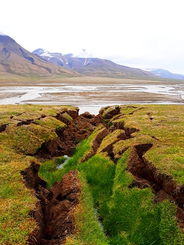 Fissure in the arctic tundra soil (active layer) caused by thawing permafrost - one of the signs of ongoing climate change
