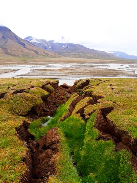 fissure in the ground - bog imagens e fotografias de stock