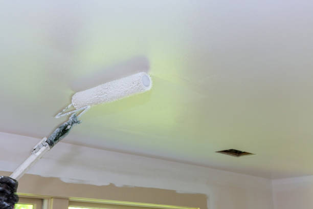 istock Rear view of painter paints the ceiling with a roller 1320012457