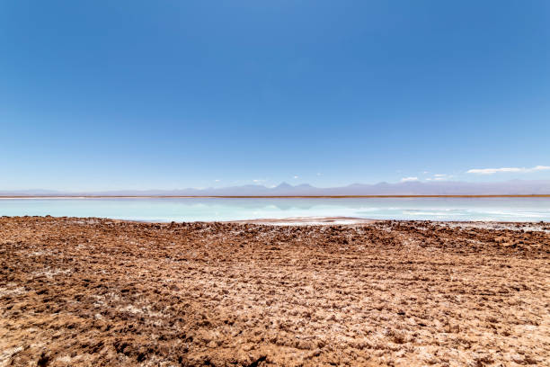 istock Tebinquinche lagoon, Salar de Atacama, Chile 1320014697