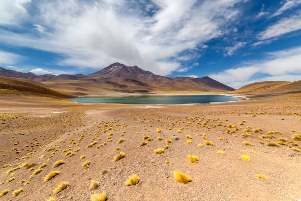 istock Miniques Lagoon in the Atacama Desert, Chile 1320014730
