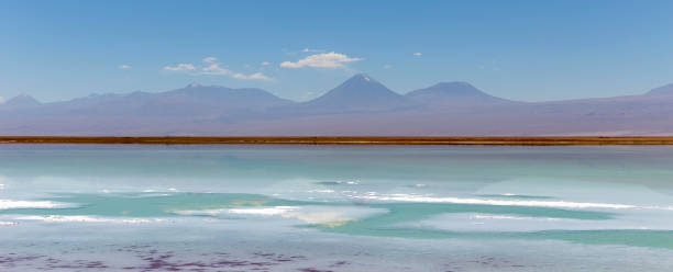 istock Tebinquinche lagoon, Salar de Atacama, Chile 1320015449