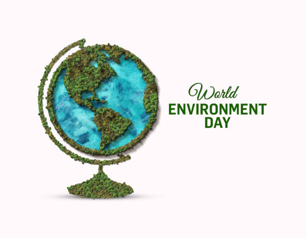 World Environment Day Concept. World Environment Day Concept. Globe or Earth map isolated on Green Forest - Environmental Concept. Nature Day, Earth Day, Forest Day world environment day stock pictures, royalty-free photos & images