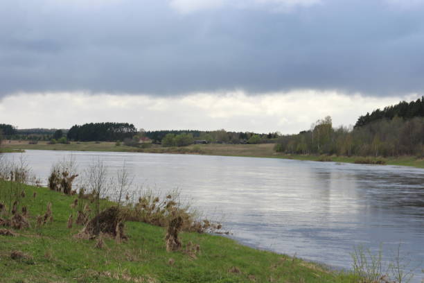 istock River in the countryside in spring with forest on the banks 1320018564