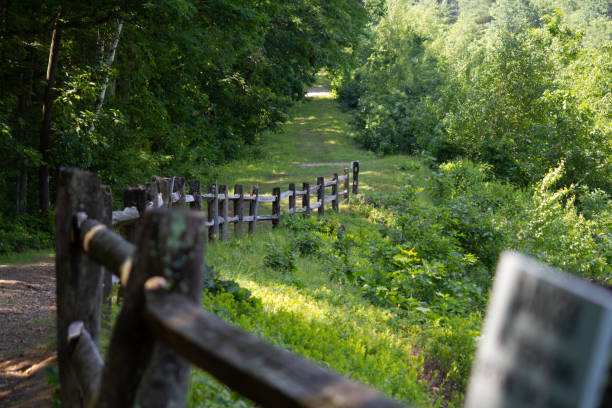 istock Wooden fence along a forest walkway 1320020038