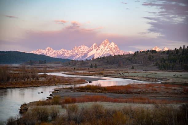 istock Sunrise as sun casts pink glow on Teton peaks 1320022184