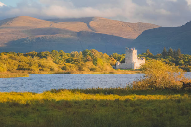 zamek ross, killarney - lakes of killarney zdjęcia i obrazy z banku zdjęć