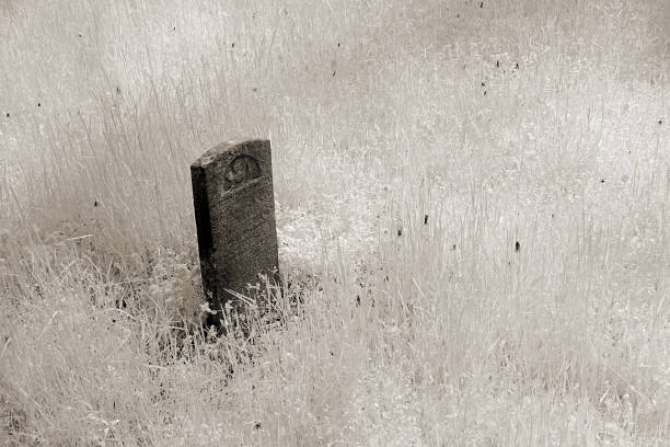 istock Single Illegible Gravestone in High Grass 1320029550