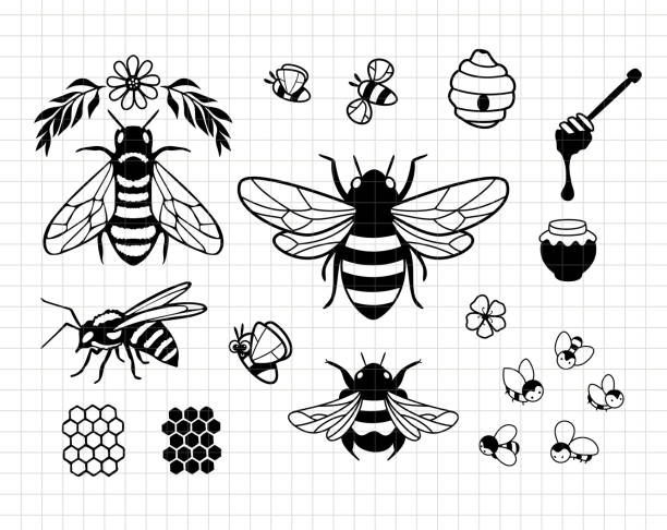 Bee bundle design.  Cute baby animals. Silhouette vector flat illustration. Cutting file. Suitable for cutting software. Cricut, Silhouette Bee bundle design.  Cute baby animals. Silhouette vector flat illustration. Cutting file. Suitable for cutting software. Cricut, Silhouette bee stock illustrations
