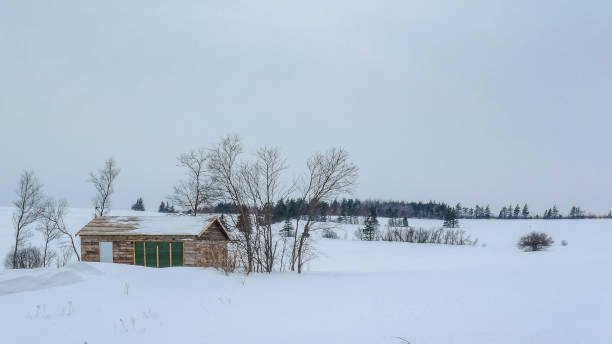 istock Countryside scenery at Winter, Prince Edward Island, Canada 1320035480