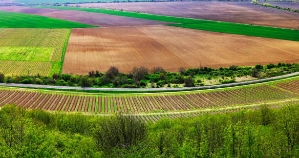 istock Beaatiful panorama drone view of agricultural landscape 1320037102