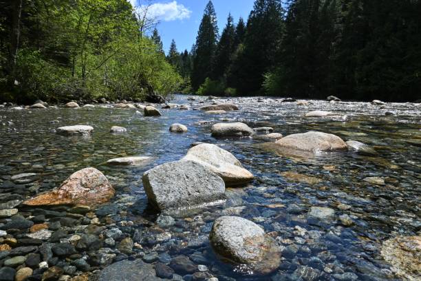 istock rocky creek with blue sky 1320037235