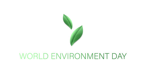 istock Environment concept. Lettering with green realistic leaves. Taking care of nature. Vector illustration in the style of realism. World Environment Day. 1320037551