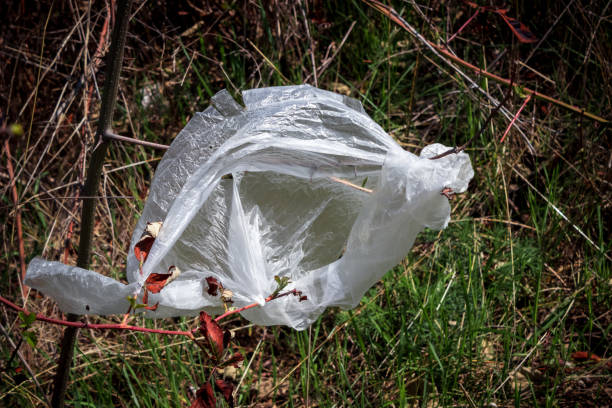 istock Thrown a cellophane bag on the grass. 1320038686