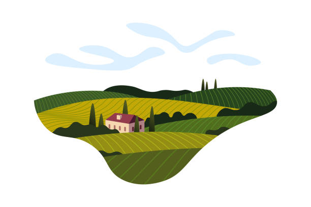 illustrazioni stock, clip art, cartoni animati e icone di tendenza di cartello del concetto di banner dell'azienda vinicola del vino. romantico paesaggio rurale nella giornata di sole con villa, campi di vigneti, colline di piantagioni, fattorie, prati e alberi. illustrazione creativa a colori eps - winemaking grape harvesting crop