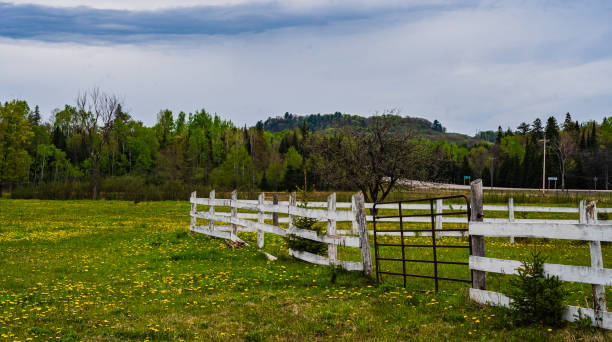 Free Stock Photo of Field With Fence and Trees in Distance | Download ...