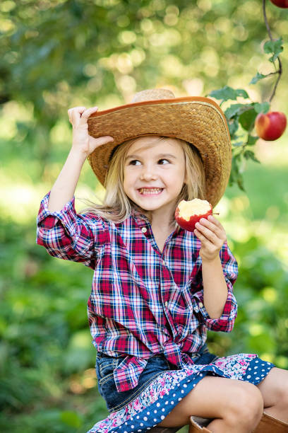 chica con manzana en el huerto de manzanas. hermosa chica comiendo manzana orgánica en el huerto. concepto de cosecha. jardín, niño pequeño comiendo frutas en la cosecha de otoño. selección de manzanas - apple orchard child apple fruit fotografías e imágenes de stock