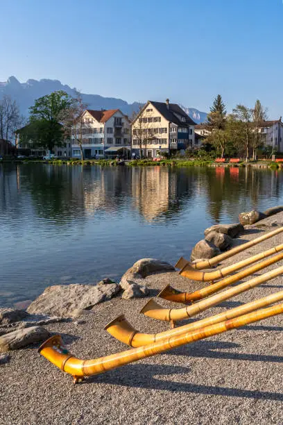 The musical instrument alphorn or alpenhorn or alpine horn is a labrophone, consisting of a straight several meter long wooden natural horn of conical bore, with a wooden cup shaped mouthpiece.