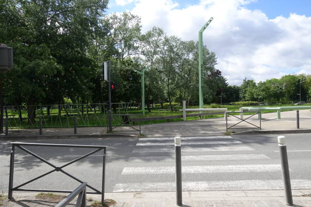 istock Pedestrian crossing  Urban lane lined with trees 1320046156