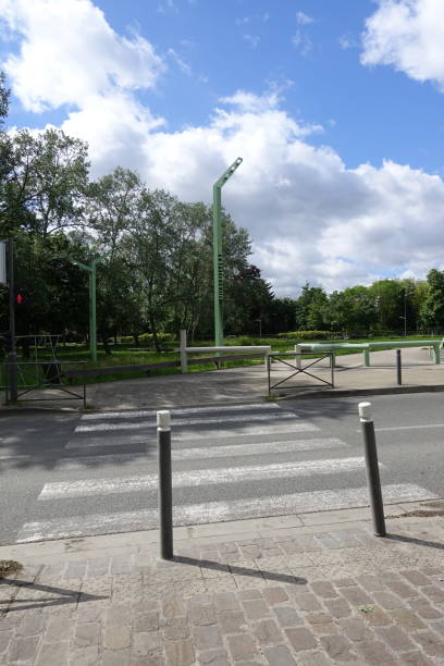istock Pedestrian crossing  Urban lane lined with trees 1320046214