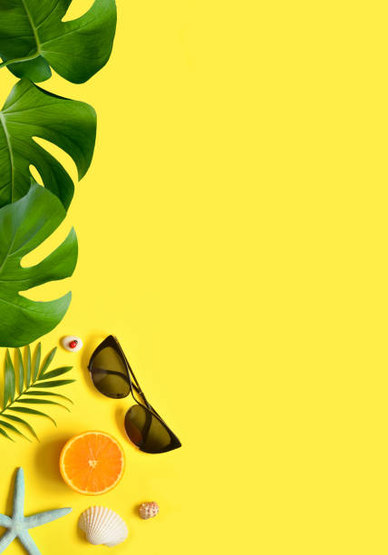 istock Summer background. Palm leaf, orange, starfish and seashell on yellow background. Travel. 1320047247