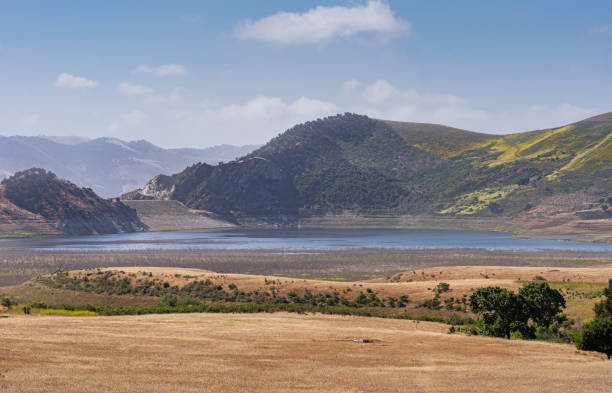 Santa Maria, CA, USA - May 21, 2021: Brown dried ranch land and green yellowish hills with dark green trees sprinkled around under blue sky. Twitchell Reservoir at center, mountains on horizon . Santa Maria, CA, USA - May 21, 2021: Brown dried ranch land and green yellowish hills with dark green trees sprinkled around under blue sky. Twitchell Reservoir at center, mountains on horizon . santa maria california photos stock pictures, royalty-free photos & images