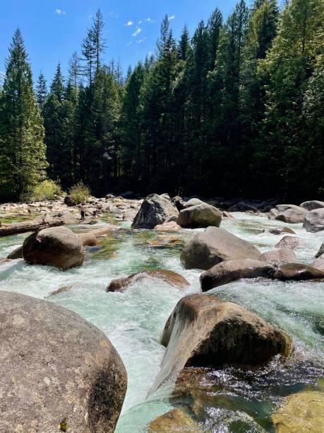 istock White water rapids in a cold Canadian river 1320050147