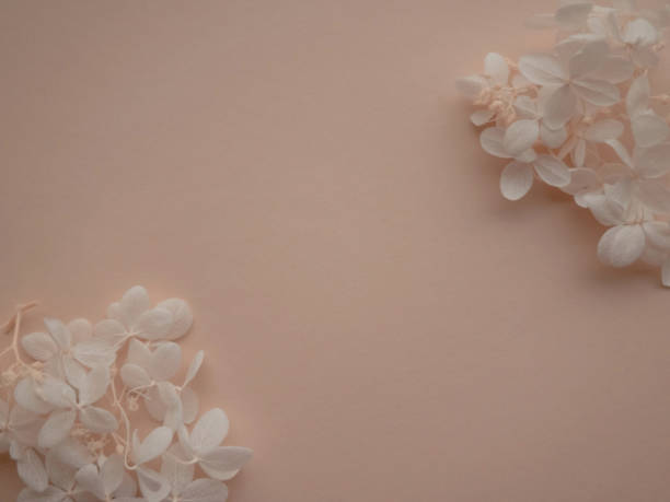 istock Flowers composition. Frame made of white flowers hydrangea on beige background. Valentines day, mothers day and womens day concept. Flat lay, top view. 1320050701