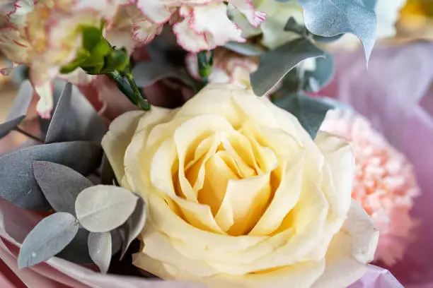 bouquet of the pastel color flowers, yellow, white and pink. roses and carnations in floral composition. a gentle traditional gift for a woman.