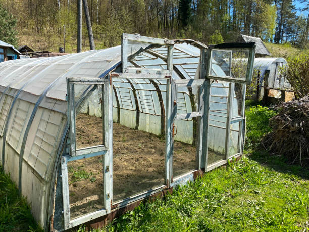 Close view of a well used and still useful personal greenhouse that has seen many years Close view of a well used and still useful personal greenhouse that has seen many years. winter chicken coop stock pictures, royalty-free photos & images