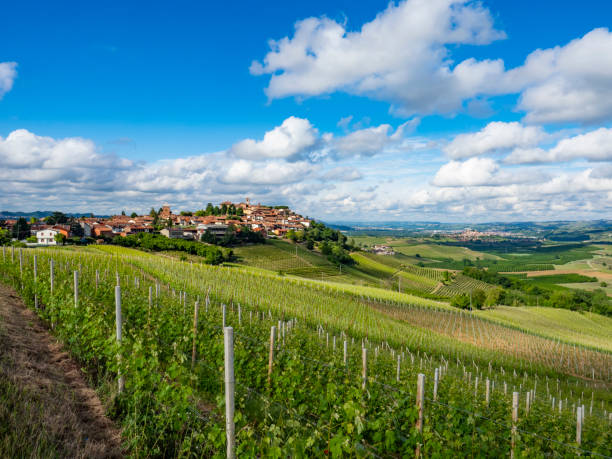istock Landscape of Langhe and its vineyards 1320052686