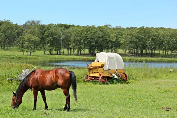 Photo of Idyllic rural scenery, chuckwagen and a horse on a meadow in Oklahoma