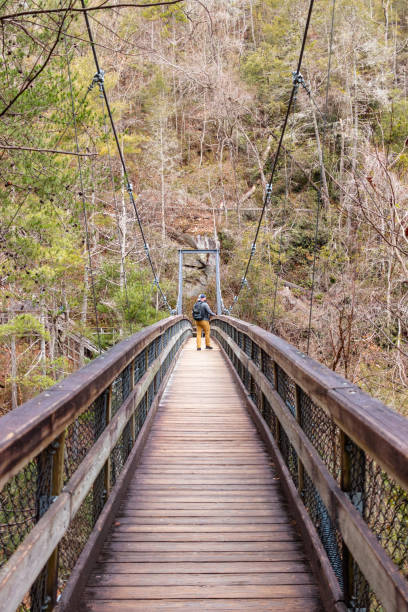istock Mountaineer walking on a wooden suspension bridge 1320056607